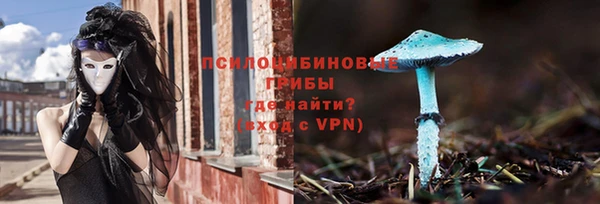 Альфа ПВП Богородск
