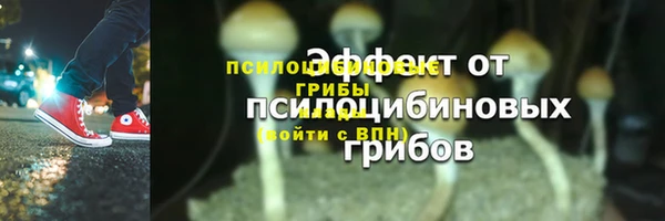Альфа ПВП Богородск