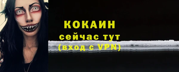 прущий лед Богородицк