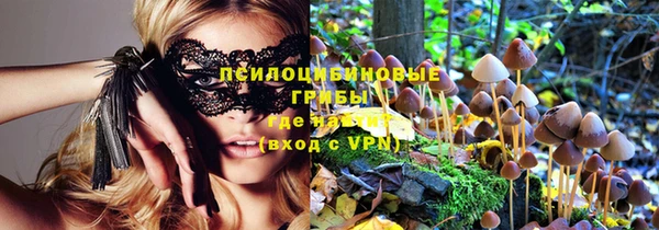 марки lsd Богданович