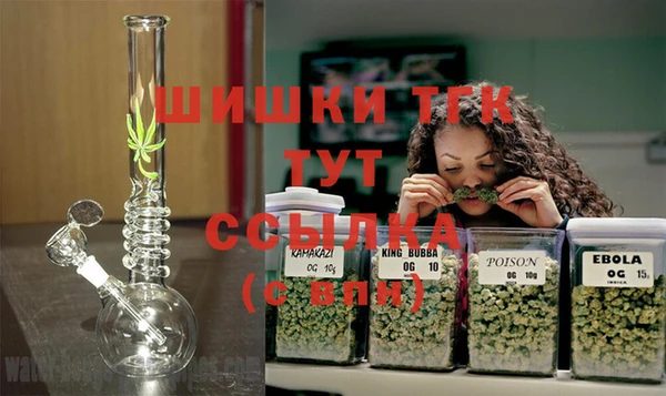 прущий лед Богородицк