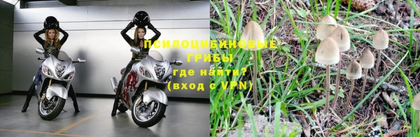 марки lsd Богданович