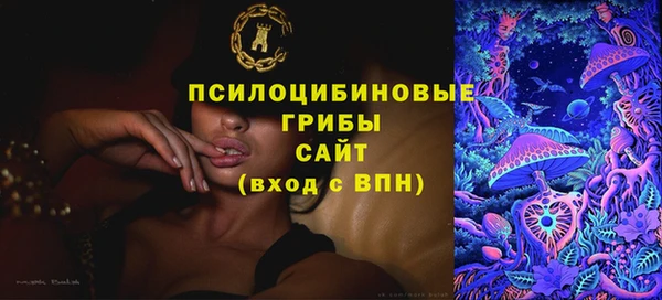 прущий лед Богородицк