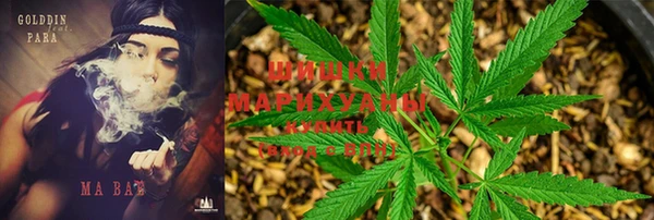 марки lsd Богданович
