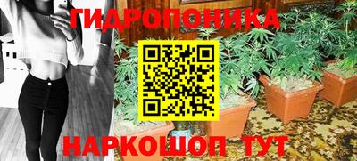 эйфоретик Аргун