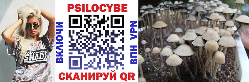Галлюциногенные грибы Magic Shrooms  Купить где  Балахна 