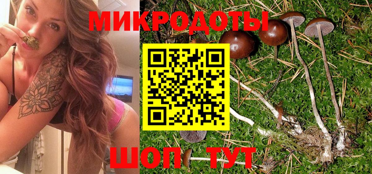 как найти закладки  Вход с VPN  Балахна  Псилоцибиновые грибы Psilocybe 